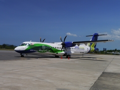 Wings of Love Kota Kinabalu - Borneo